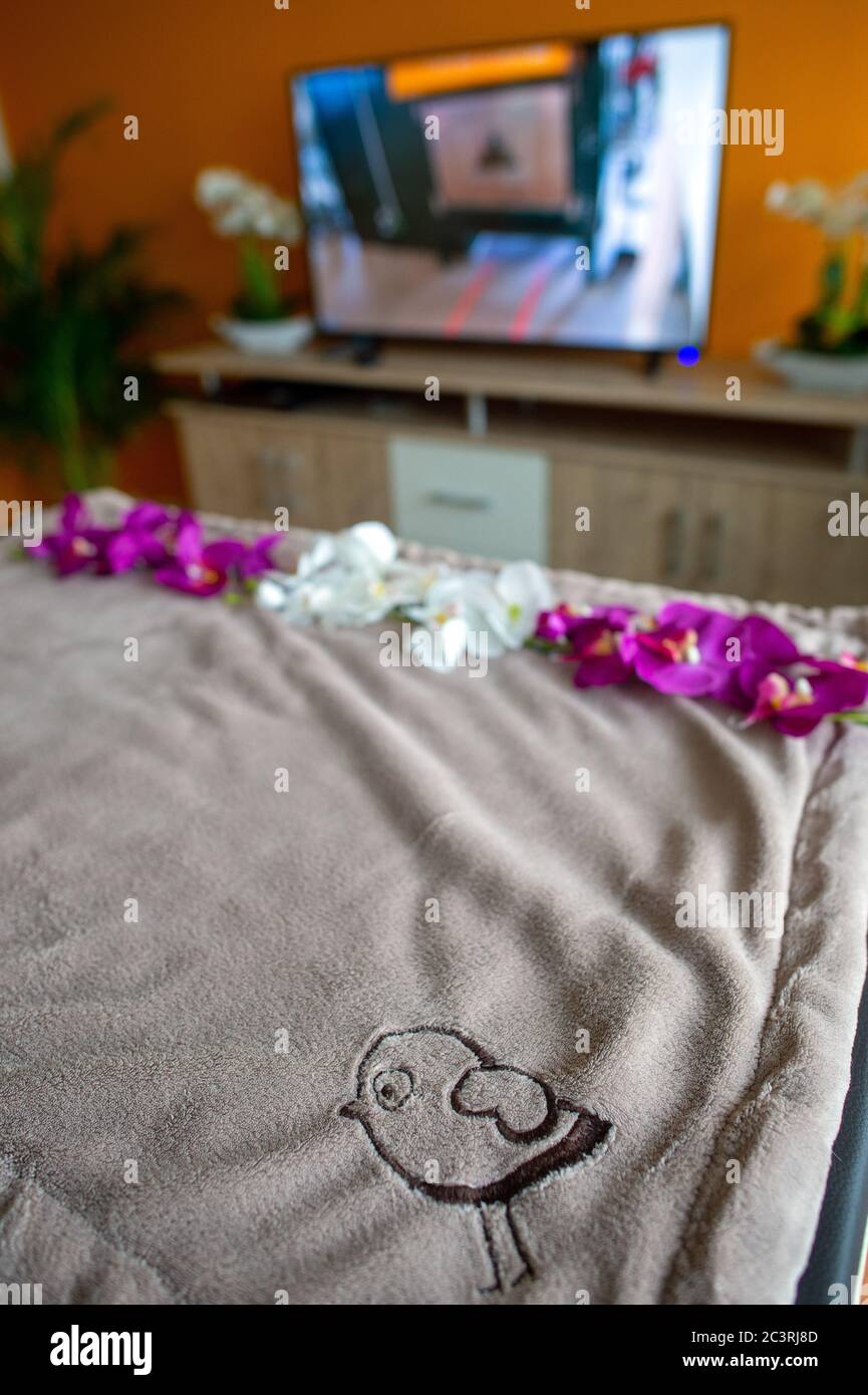 farewells pet crematorium