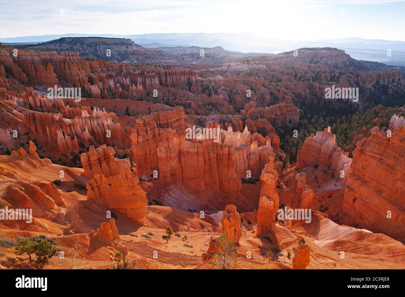 Early morning view of the amphitheater area of Bryce Canyon National Park Stock Photo