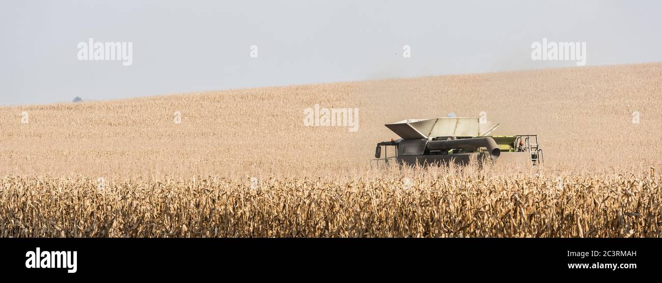 panoramic concept of tractor harvesting wheat field Stock Photo - Alamy