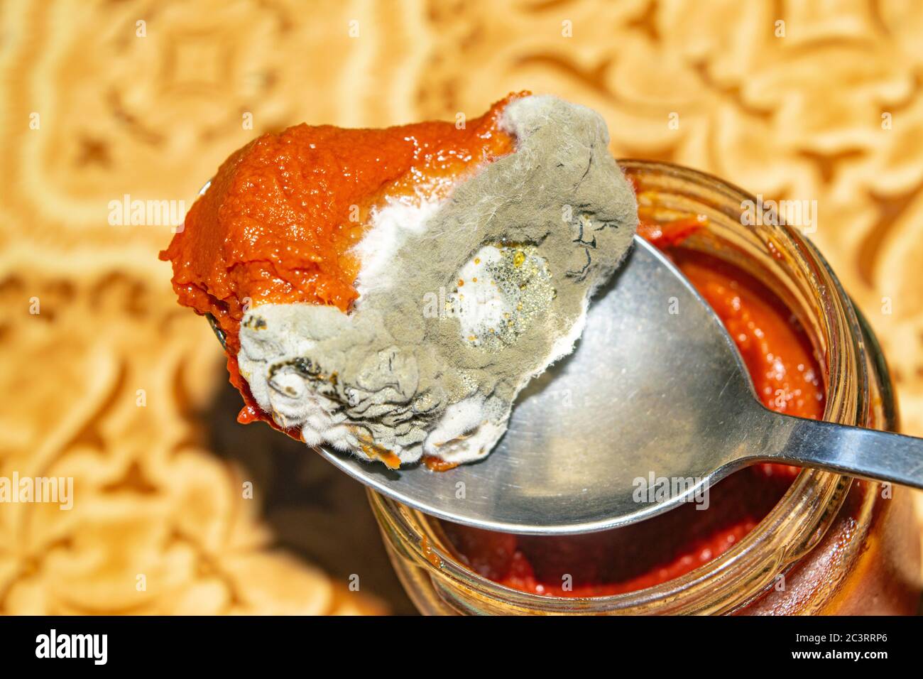 Mold growing on the tomato paste. Close up Stock Photo