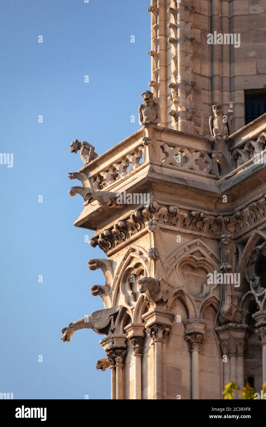 Stone gargoyles on Notre Dame cathedral, Paris, France Stock Photo