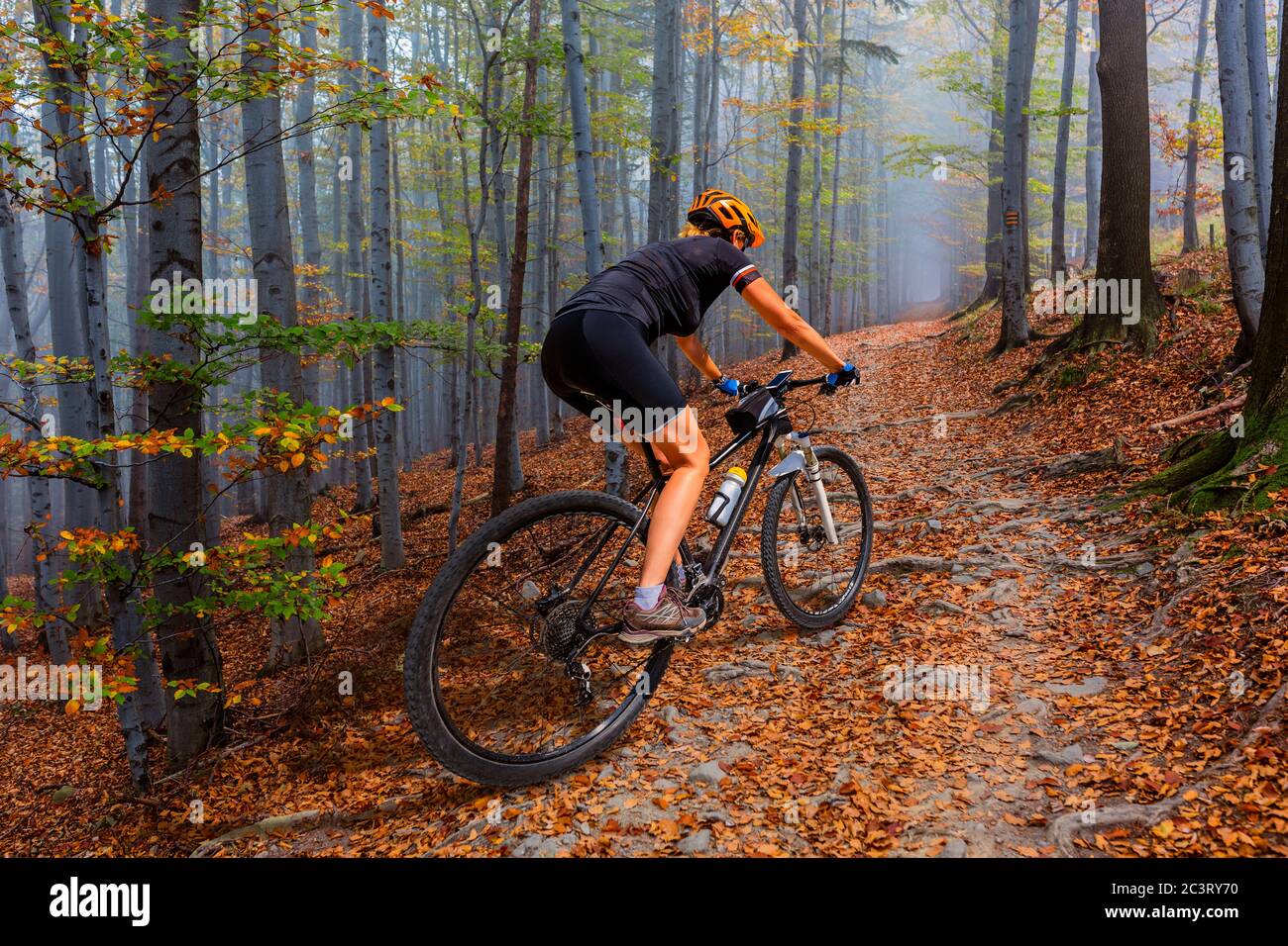 Mountain biking woman riding on bike in autumn mountains forest landscape.  Woman cycling MTB flow trail track. Outdoor sport activity Stock Photo -  Alamy
