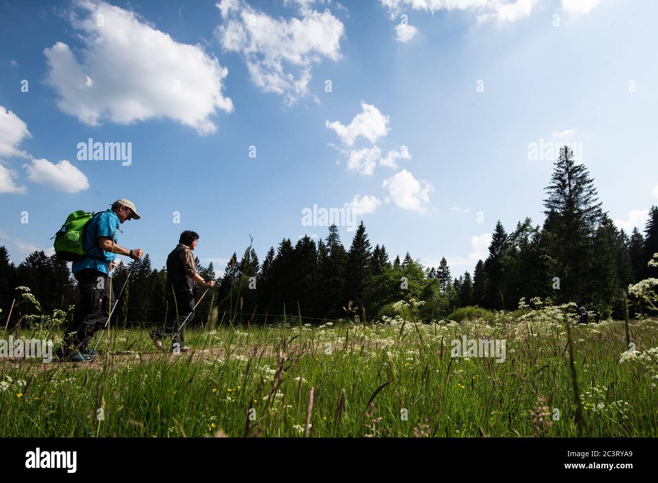 экологический туризм. экологический туризм. экотуризм пермский край. экологический туризмзм. экотуризм лес.