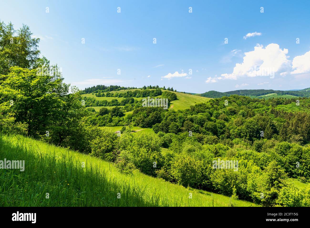 Beautiful springzime Biele Karpaty mountains near Vrsatske Podhradie village in Slovakia with hills covered by mix of meadows and forest and blue sky Stock Photo