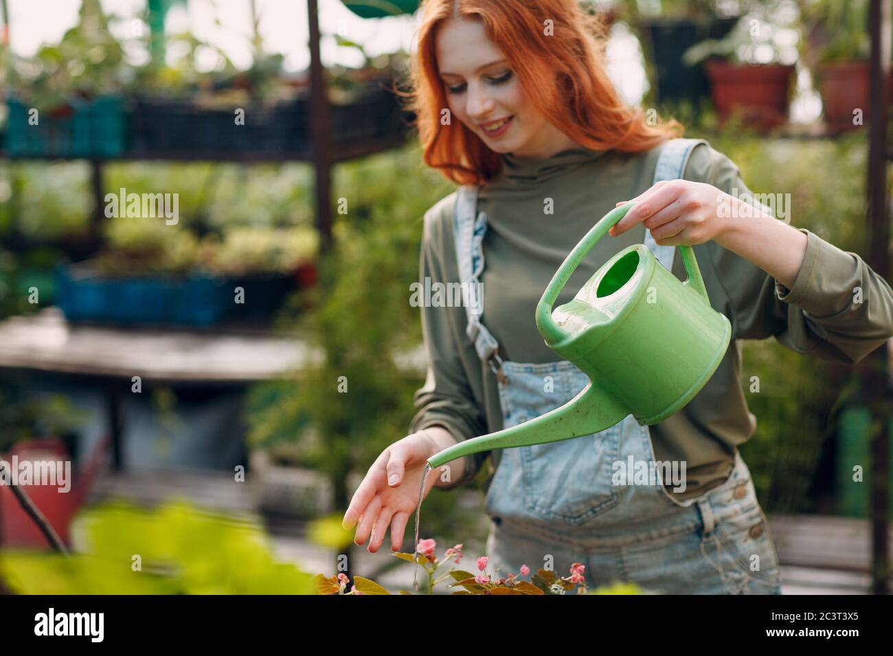 Home gardening concept. Young woman watering plants floral in greenhouse Stock Photo