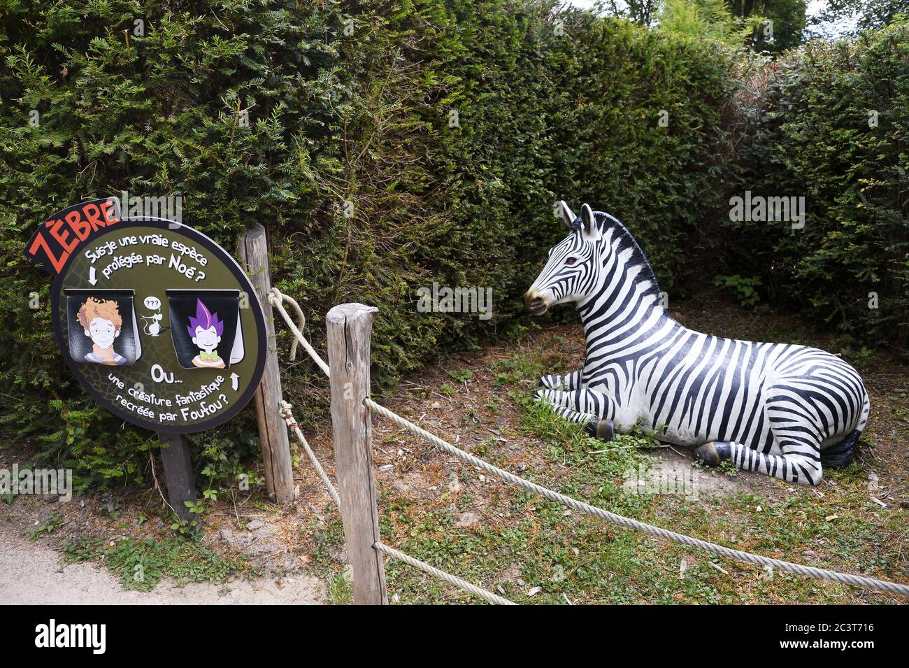 Thoiry Animals Zoo Park - Yvelines - France Stock Photo