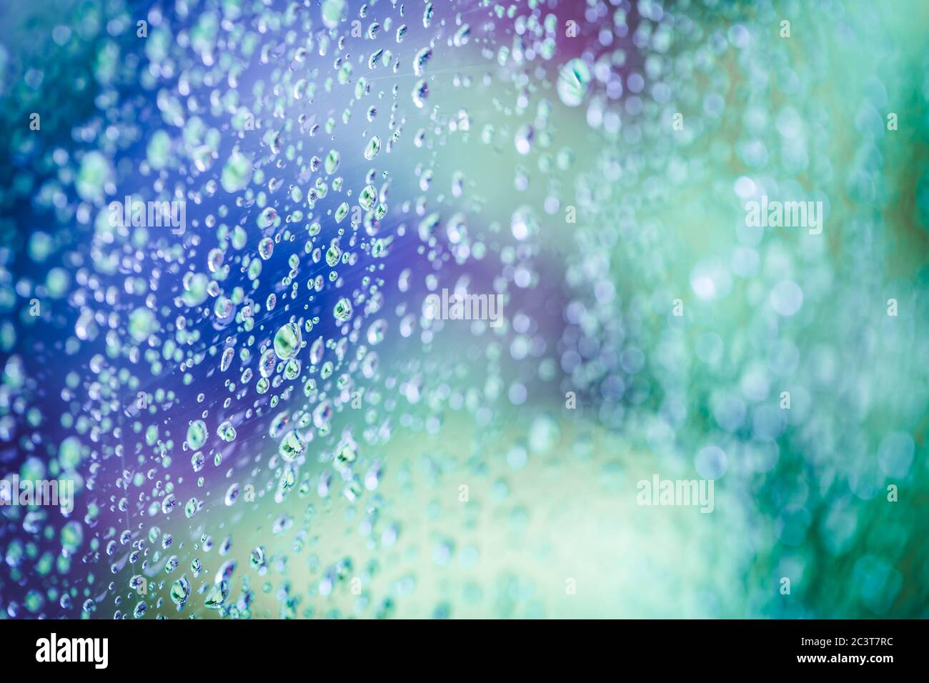 Rain drops on window with abstract purple green tree in background ...