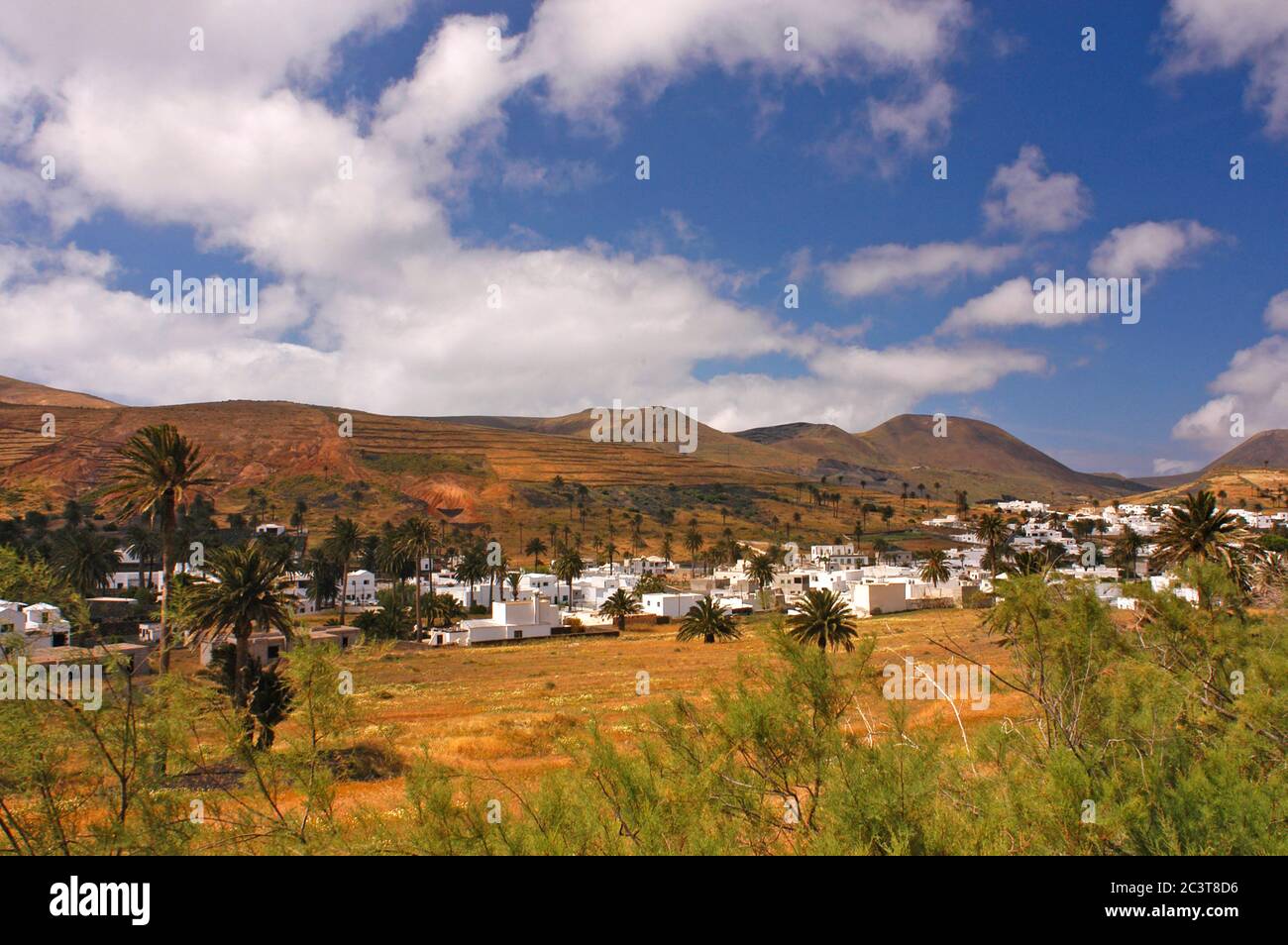 Haria, Valley of one thousand palms, Lanzarote Canary Islands Spain Stock Photo