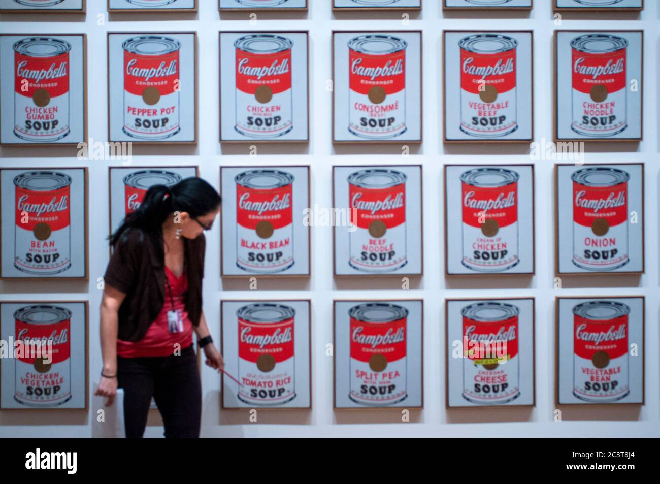 Visitor admires Campbell's Soup Cans, Andy Warhol, 1962, MOMA, New York