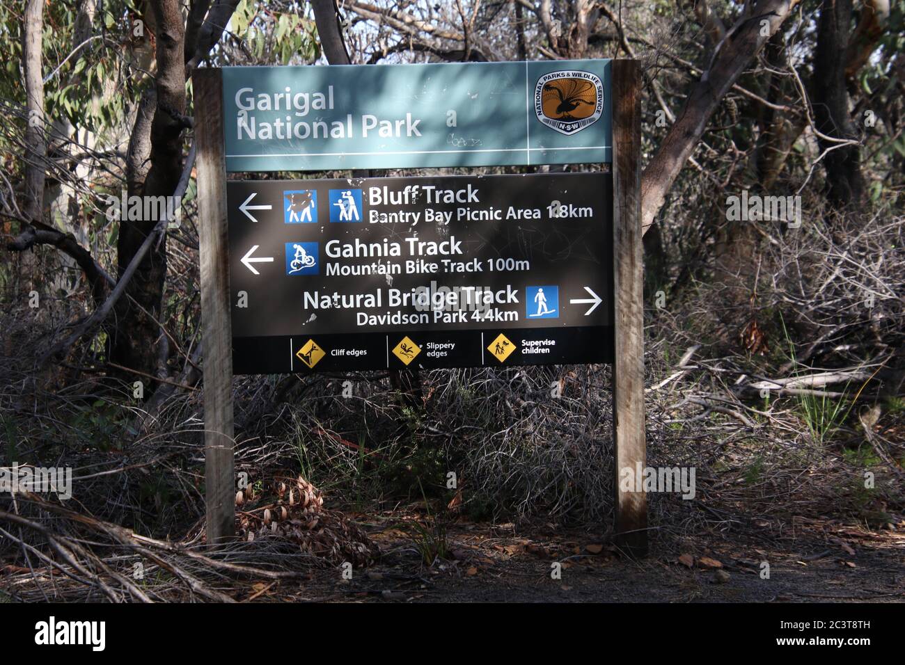 Garigal National Park, Sydney, NSW, Australia Stock Photo
