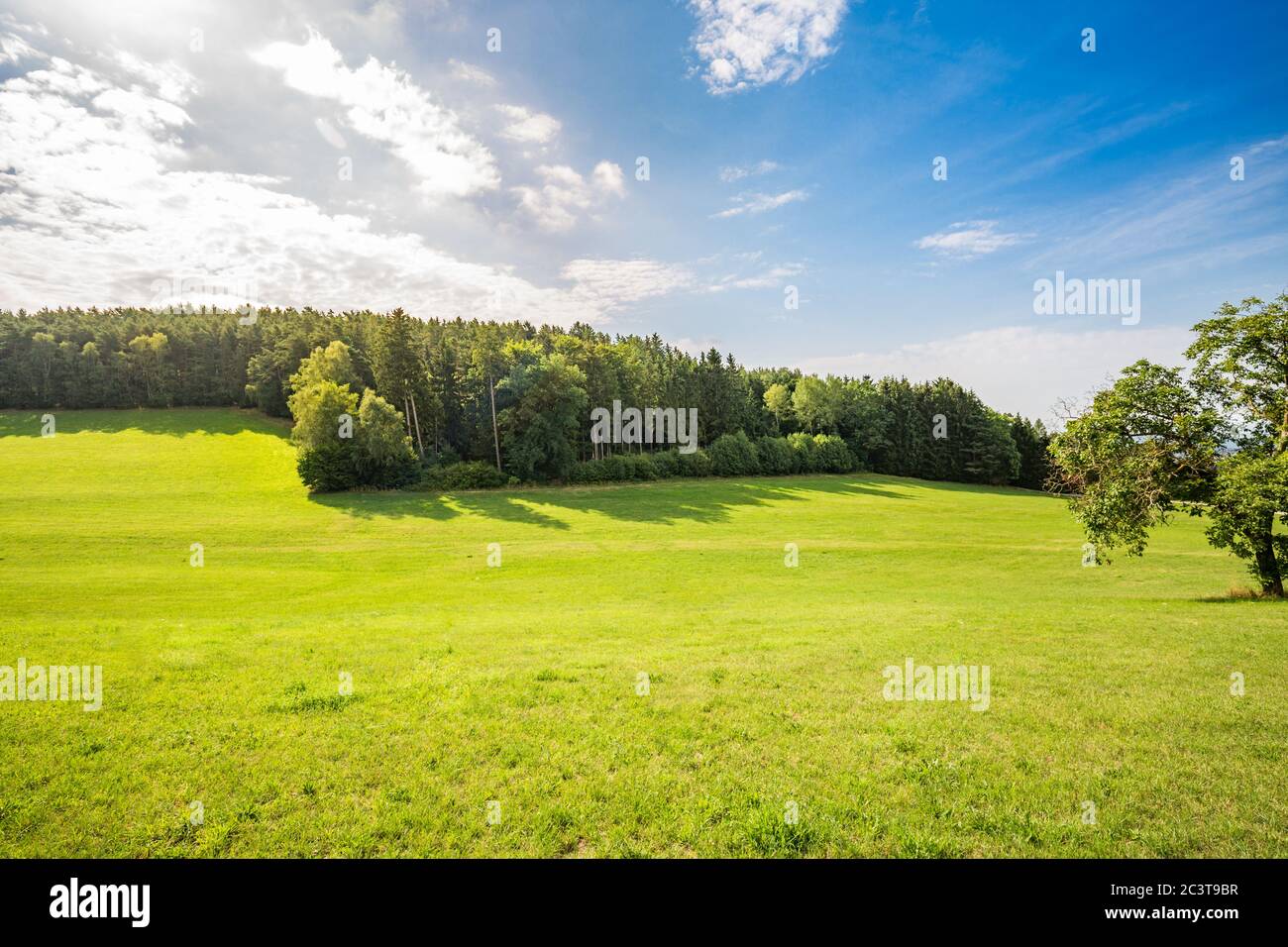 Scenic panoramic view of idyllic rolling hills landscape with blooming meadows and alpine mountain background. Green spring summer landscape Stock Photo