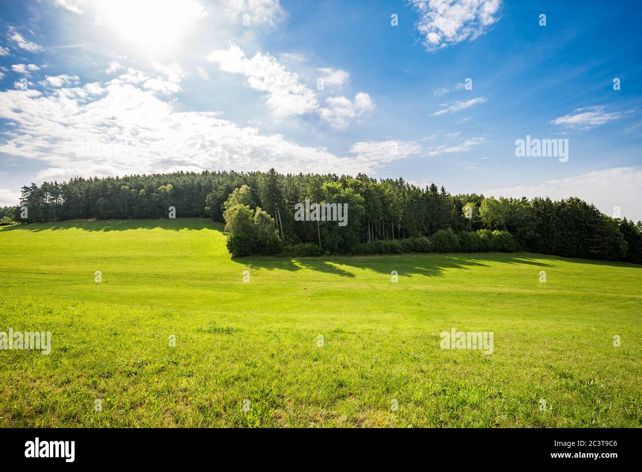 Scenic panoramic view of idyllic rolling hills landscape with blooming meadows and alpine mountain background. Green spring summer landscape Stock Photo