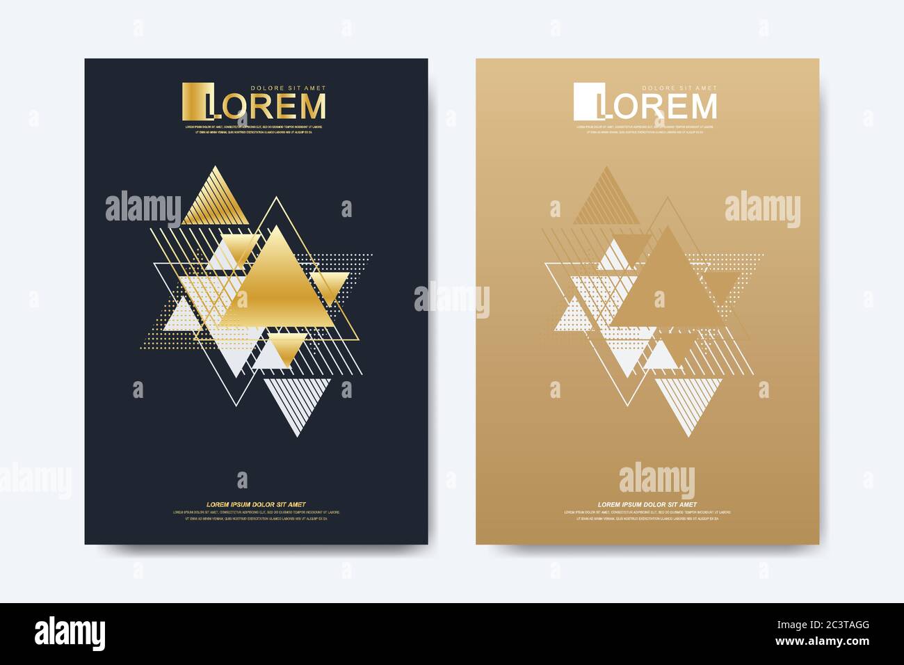 Modern vector template for brochure leaflet flyer cover catalog magazine or annual report in A4 size. Abstract geometric background with triangles in Stock Vector