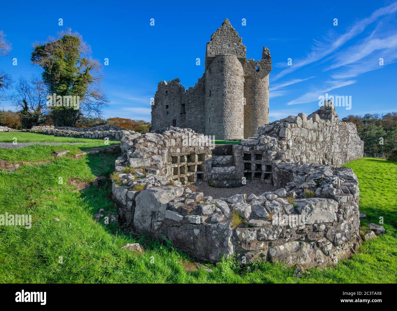 Northern Ireland, County Fermanagh. Monea Castle, a 17th century Plantation rectangular tower house. Stock Photo