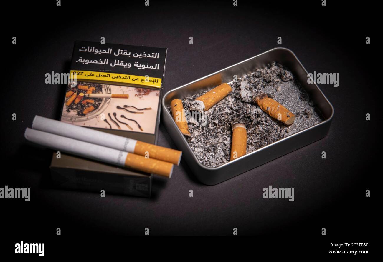 cigarettes with ash tray, Smoking kills sperm reduces fertilityTo quit, call 937 is written on the box،Jeddah, Saudi Arabia, 2020 Stock Photo