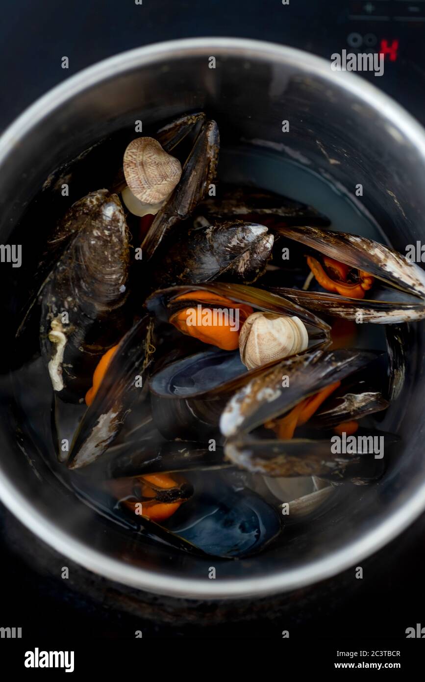 Cooking mussels and seafood in a cooking pot at home Stock Photo Alamy