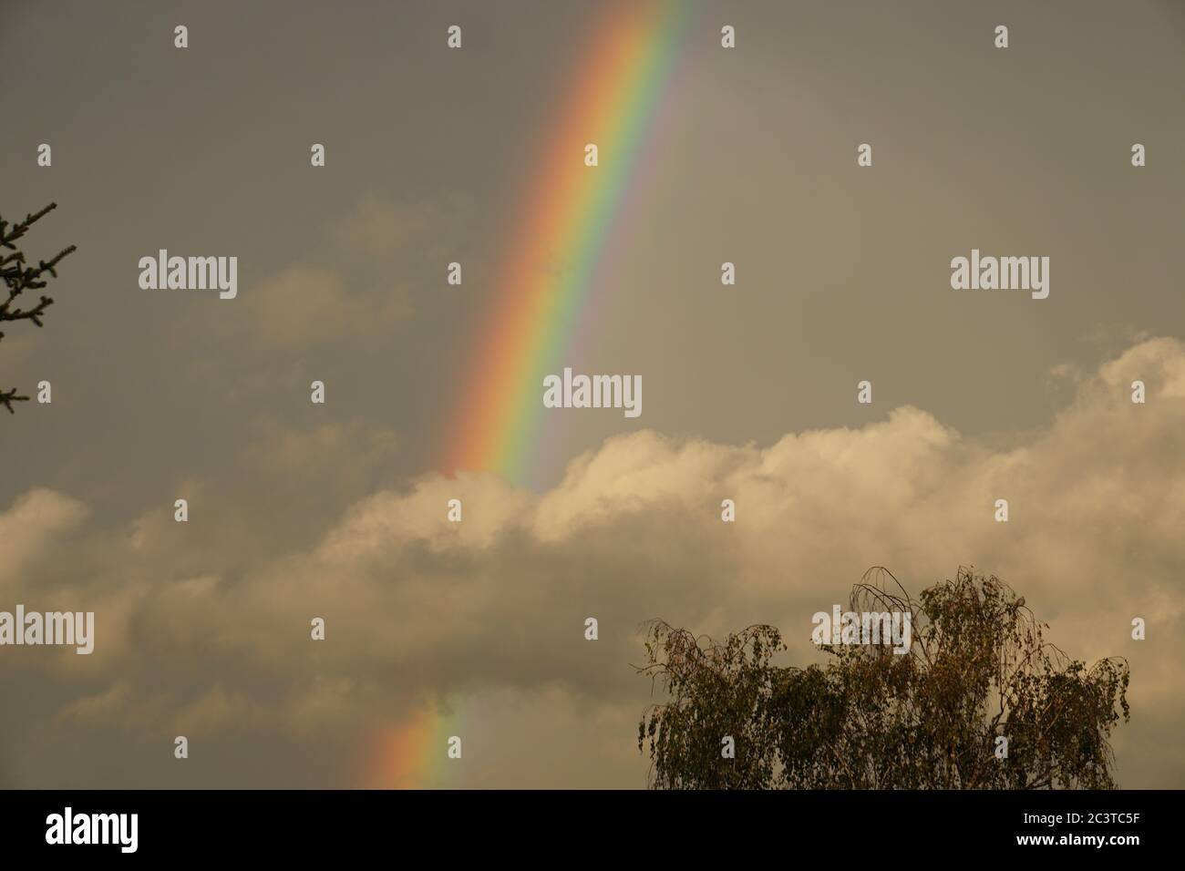 a colorful rainbow across the blue sky with fluffy white clouds Stock ...