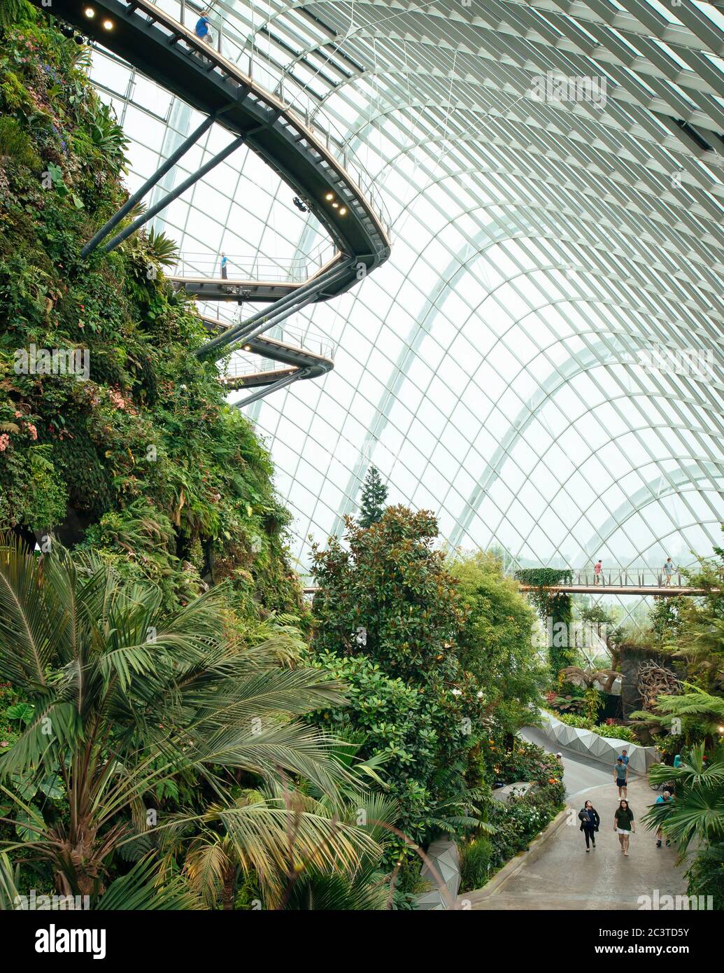 Interior view. Cooled Conservatories, Gardens by the Bay, Singapore, Singapore. Architect: Wilkinson Eyre Architects, 2011. Stock Photo