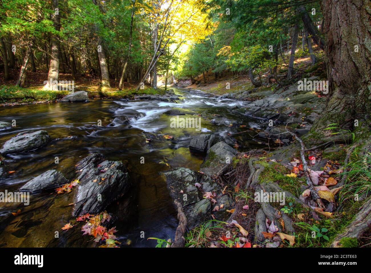 Autumn River Landscape. River with fall leaves on the bank flows through the lush forest of the northern Michigan wilderness in Baraga County. Stock Photo