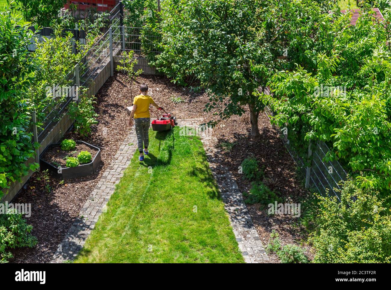Boy cutting the grass with electric mower. Gardening concept. Top view Stock Photo