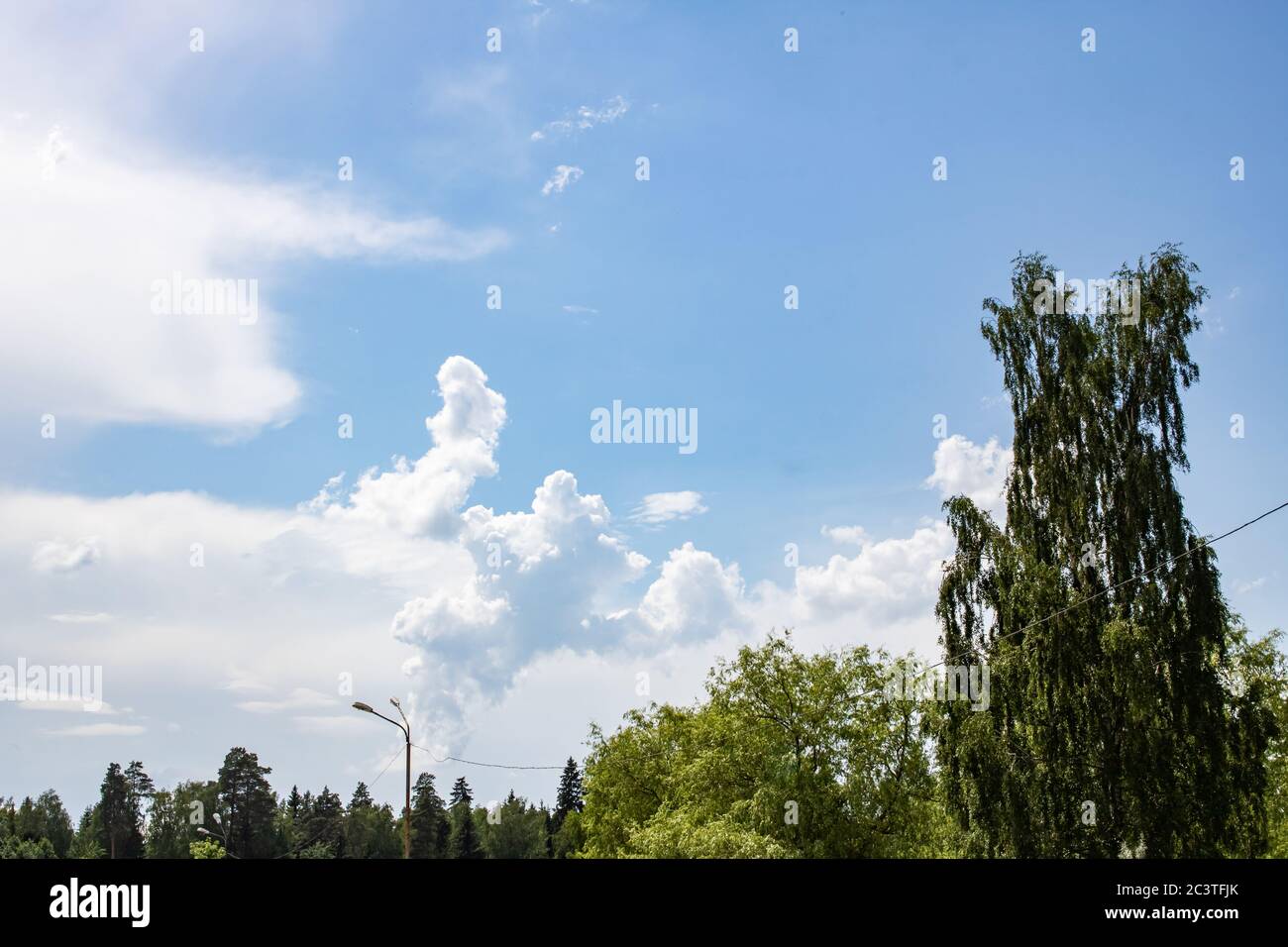 Landscape of bright blue sky with clouds and treetops Stock Photo - Alamy