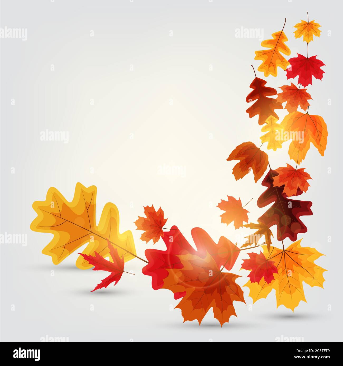 Shiny Autumn Leaves Banner Background. Vector Illustration Stock Vector ...