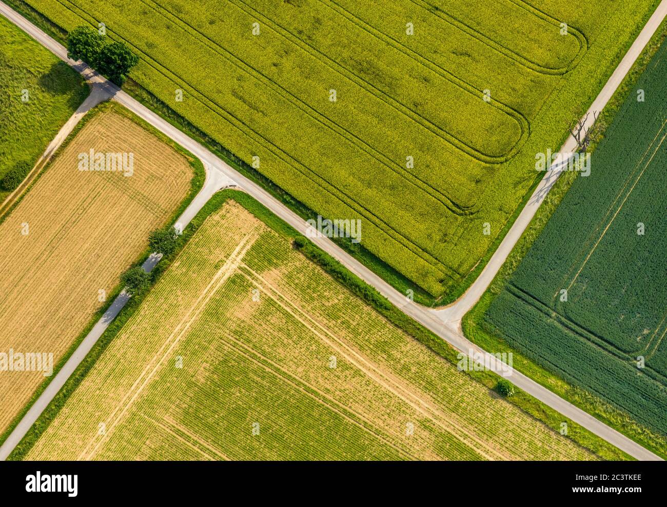 fields and pathes at Lindloher Weg Ampen, 07.06.2019, aerial view, Germany, North Rhine-Westphalia, Soest Stock Photo