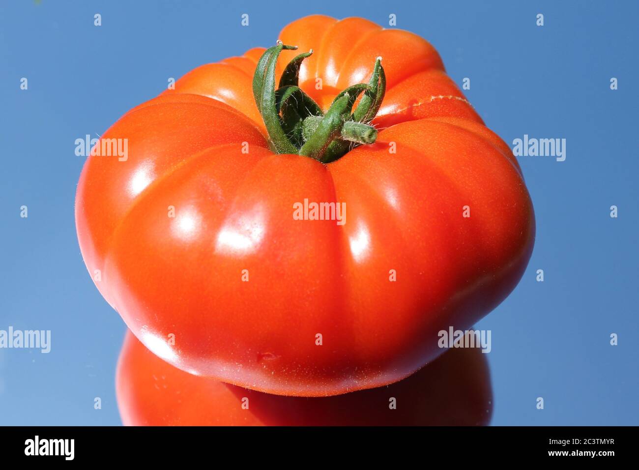 Mirrored close up of a isolated steak tomato with reflection Stock Photo