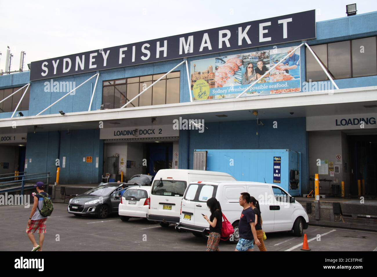 Sydney Fish Market in Pyrmont Stock Photo Alamy