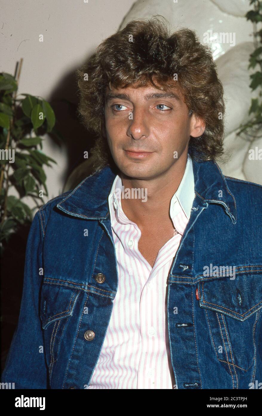 Barry Manilow meeting press in London before his concert at the Blenheim Palace on the 27th  August 1983 Stock Photo