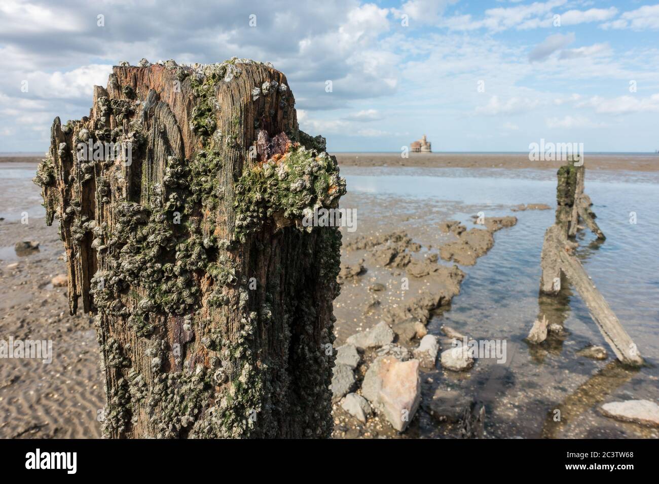 Looking acros the River Thames to the Grain Battery Tower Stock Photo