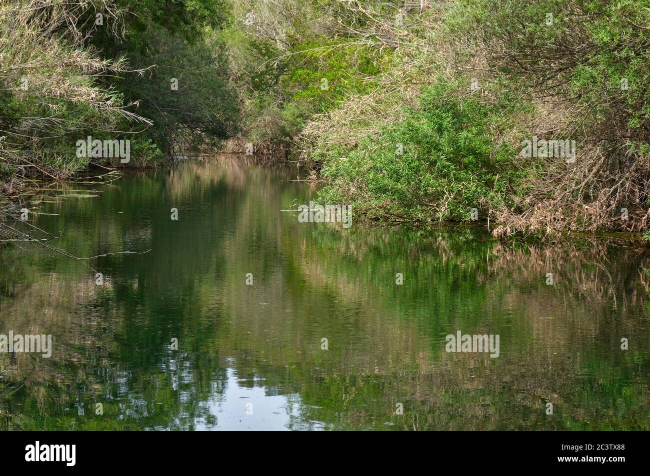 Fonte da Benemola river scene in Querenca. Loule, Algarve, Portugal Stock Photo