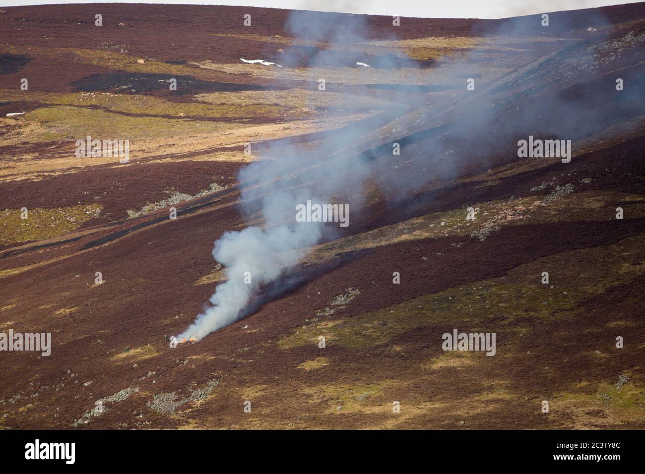 Smoke rises over heather moorland in the Scottish highlands during a controlled burn. Stock Photo