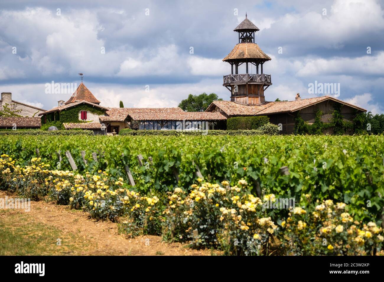Martillac (south-western France): the Chateau Smith Haut Lafitte, wine-growing property located in Pessac-Leognan Stock Photo