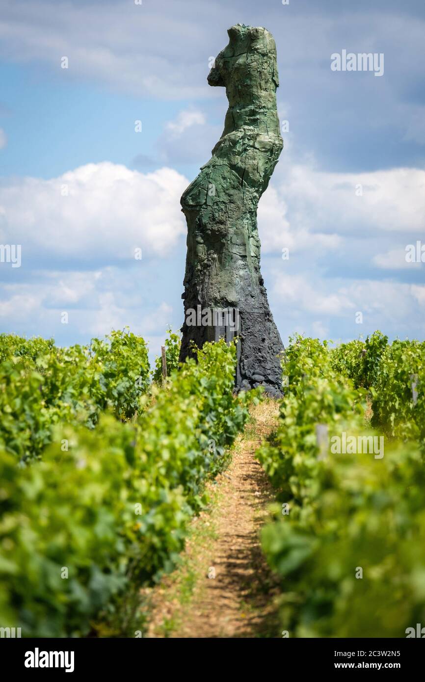 Martillac (south-western France): the Chateau Smith Haut Lafitte, wine-growing property located in Pessac-Leognan. Florence and Daniel Cathiards, owne Stock Photo