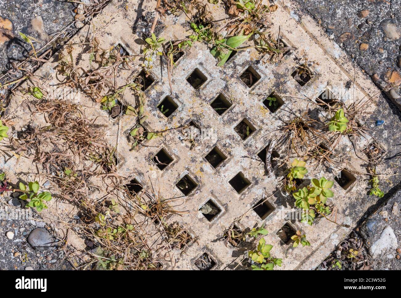 Old unused blocked drain with weeds growing out of it. Stock Photo