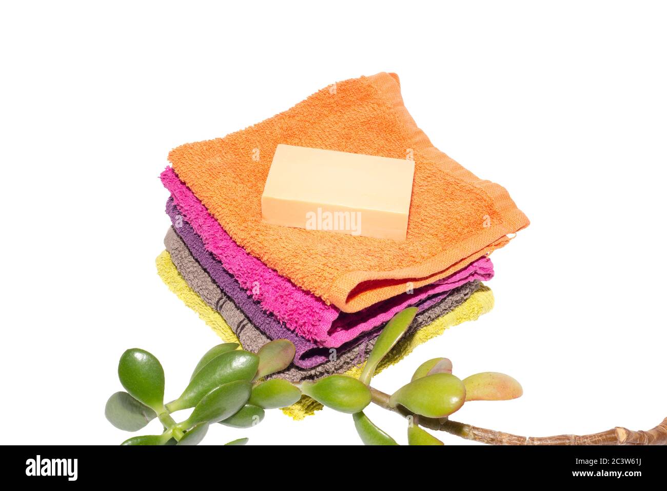 soap on facecloths of various shades with natural green plant Stock Photo
