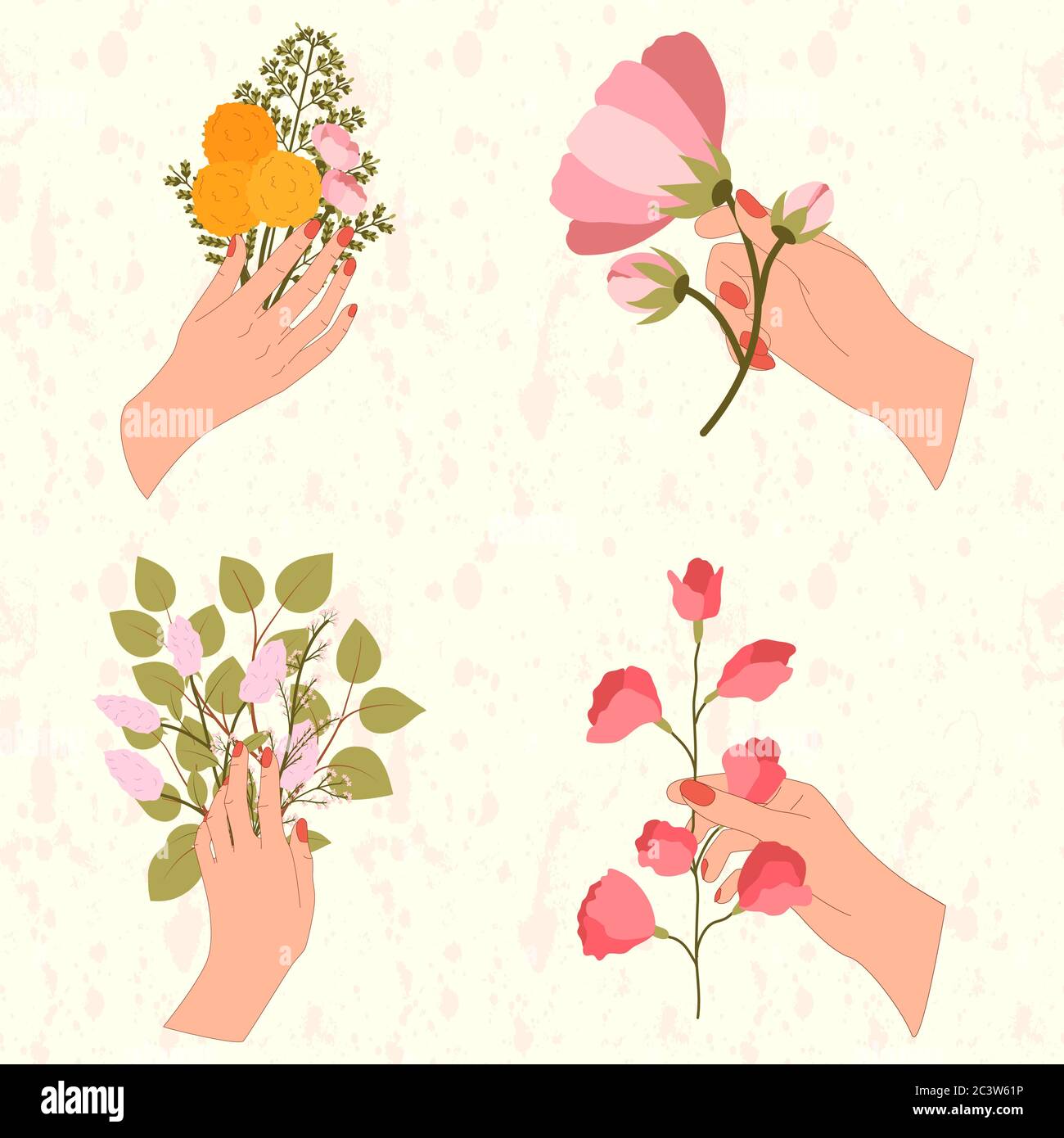 Set of four women hand are hold flowers bouquet with fern, rose, dandelion, lilac on textured background. Vector illustration for greeting card design Stock Vector