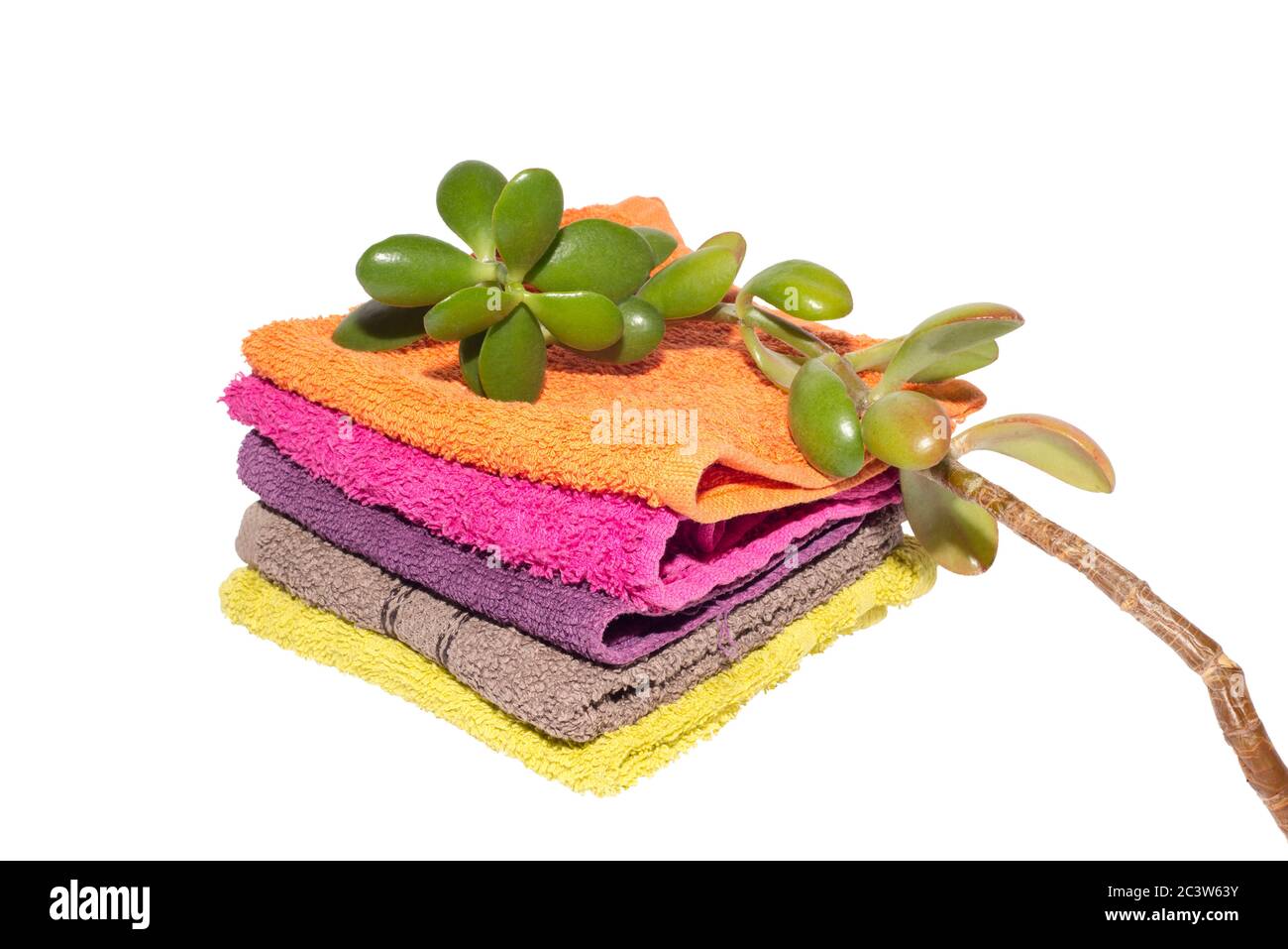 facecloths of various shades with natural green plant Stock Photo