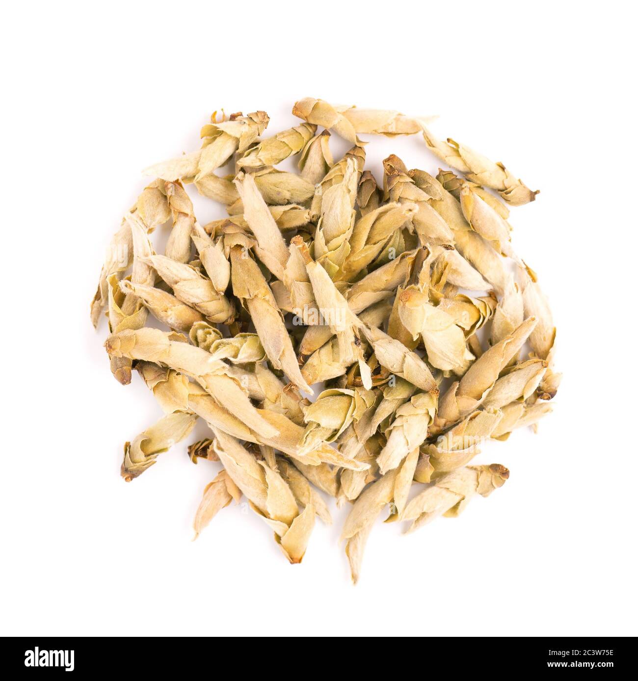White tea isolated on a white background. Buds from the old trees of