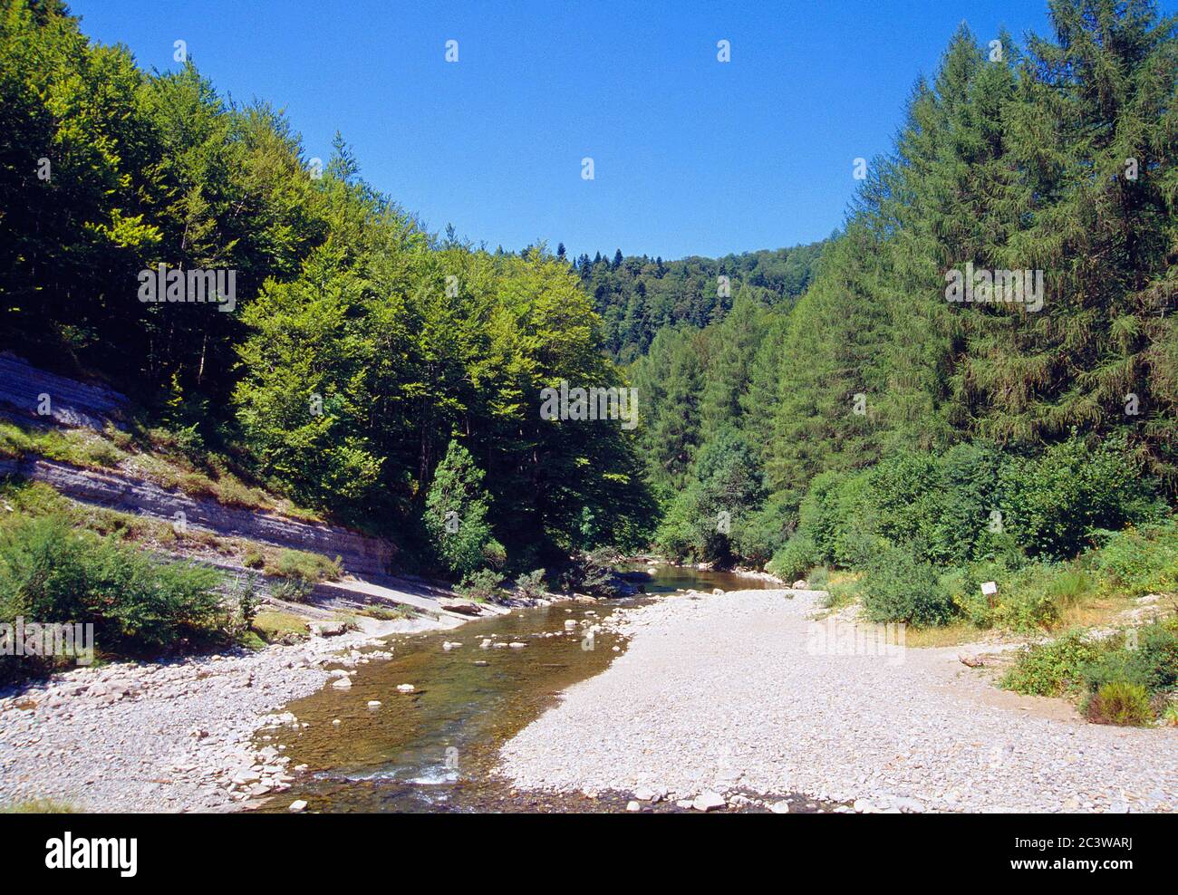 River Irati. Selva de Irati, Navarra, Spain. Stock Photo