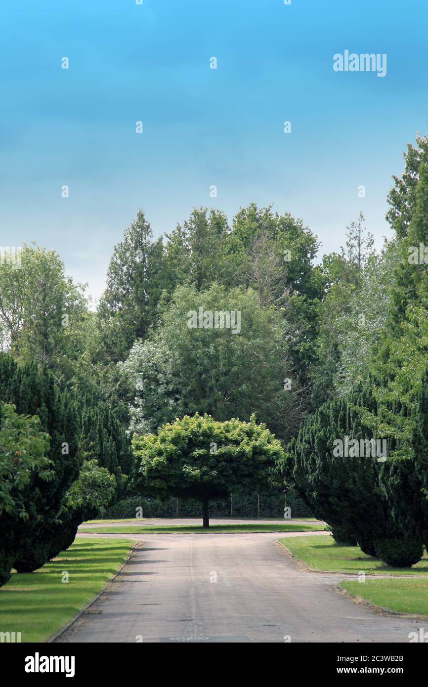 After his cremation at leatherhead crematorium hires stock photography