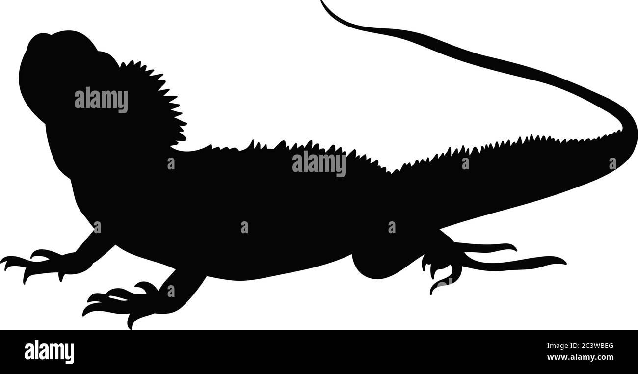 black silhouette of iguana Stock Vector