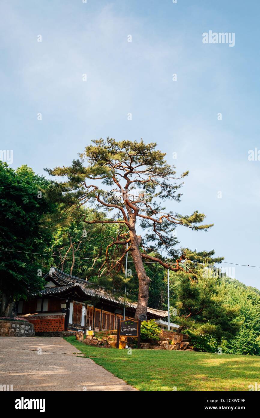 Ganghwa-gun, Incheon, Korea - June 7, 2020 : Gyodong Island Hwagaesa temple Stock Photo