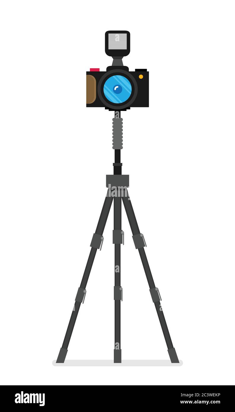Analog digital camera Stock Vector Images - Alamy