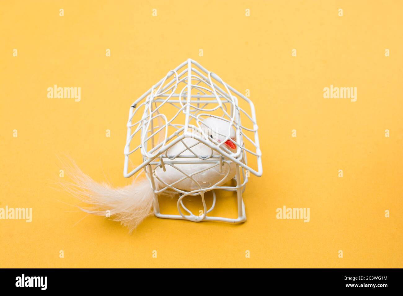 Fake bird locked in a cage Stock Photo Alamy