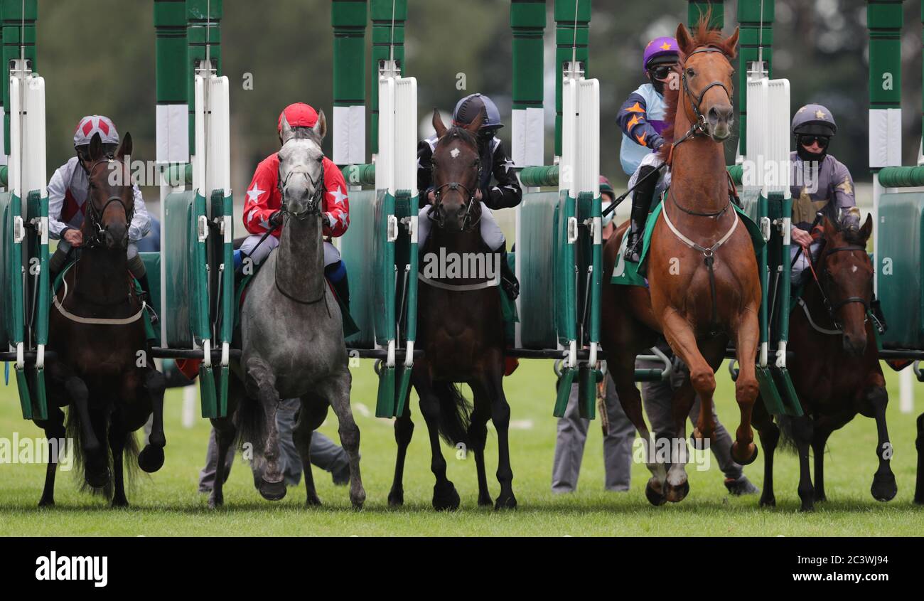 Horses break out the stalls in the JW 4x4 Northallerton Handicap at Thirsk Racecourse. Stock Photo