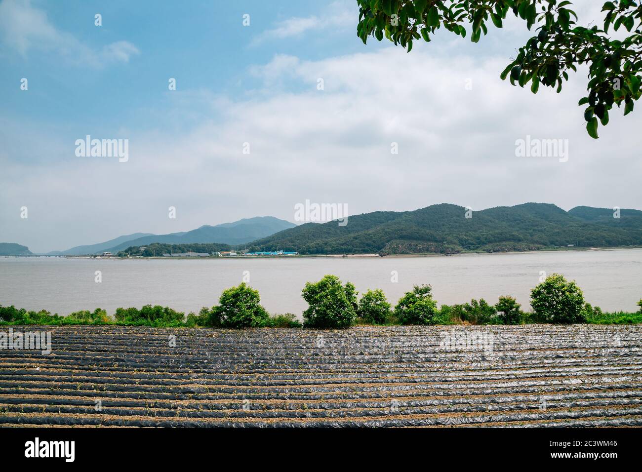Ganghwa island Countryside village in Incheon, Korea Stock Photo