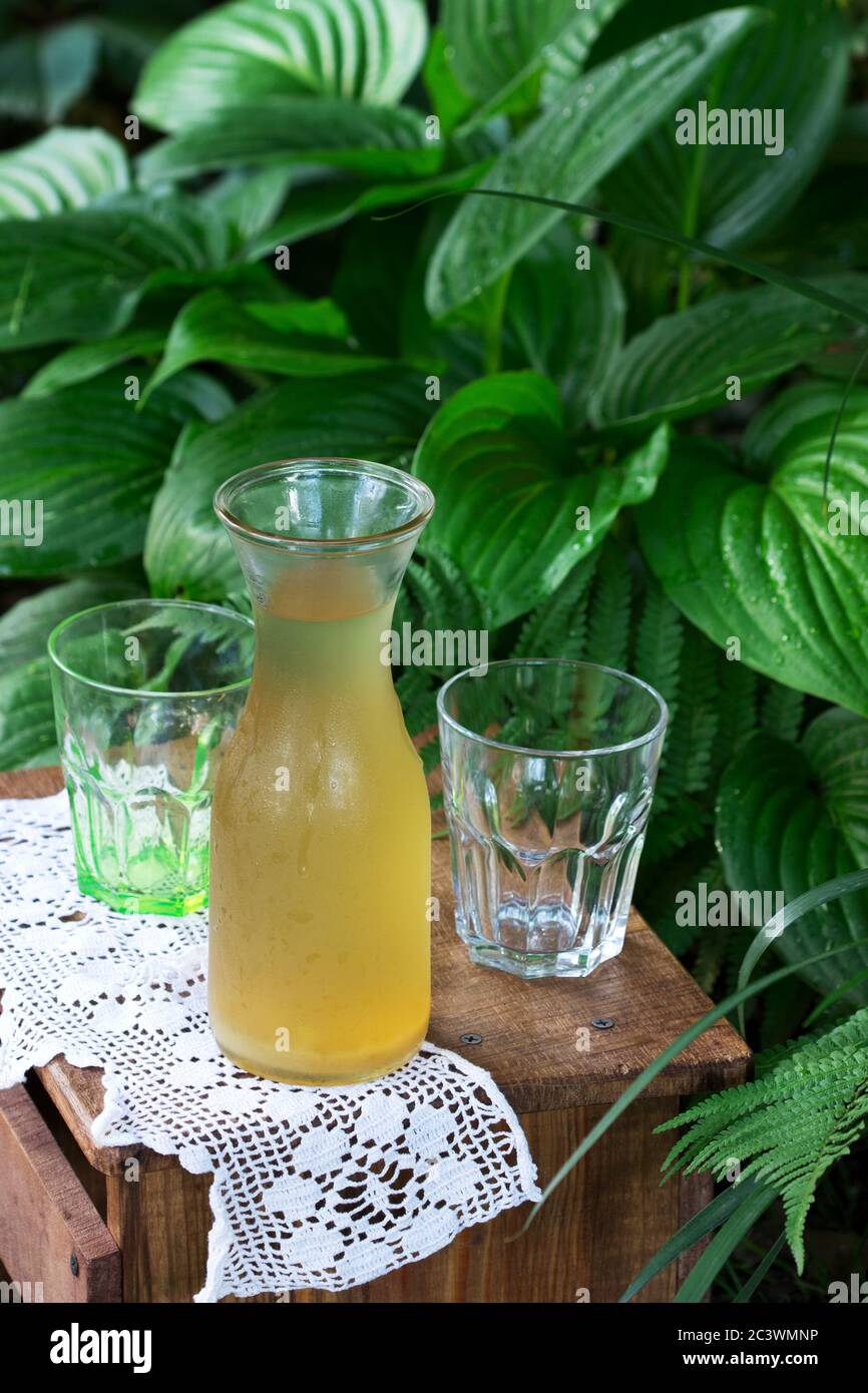 Rhubarb compote in a transparent jug and glasses on a wooden chair in the garden. Stock Photo