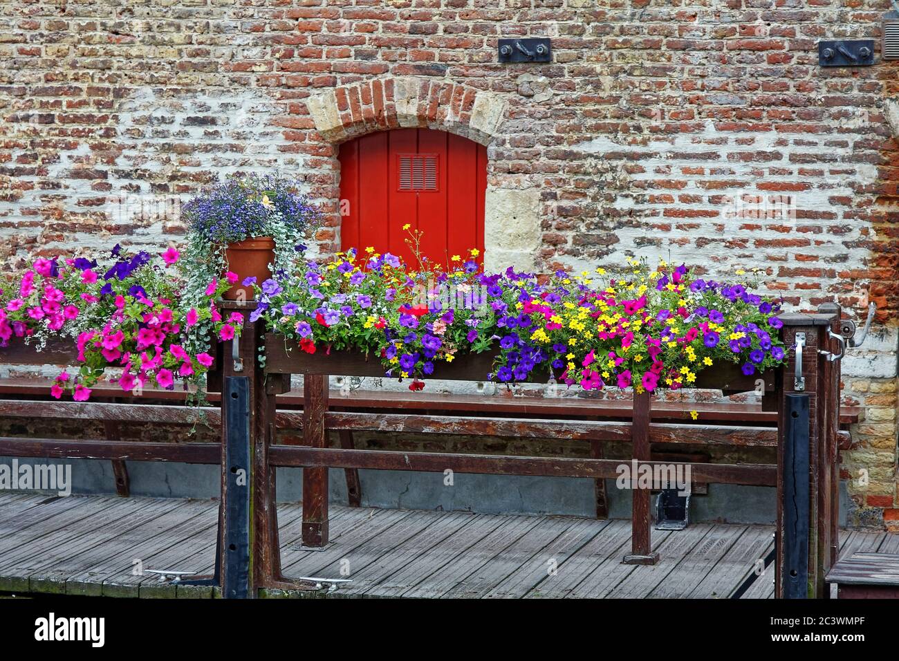 colorful flowers, wood dock, old brick wall, red door, colorful, marine